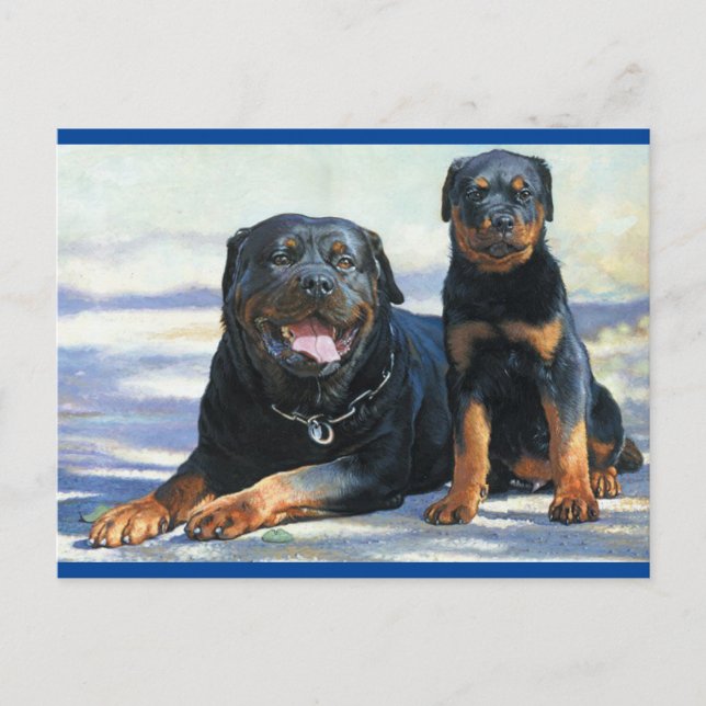 Cartão Postal Cartão-postal com Vazio Rottweiler (Frente)
