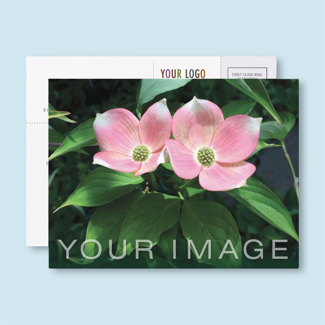 Cartão Postal Cartão-postal comercial personalizado com logotipo (MISOOK Business Postcard with Photo and Logo)