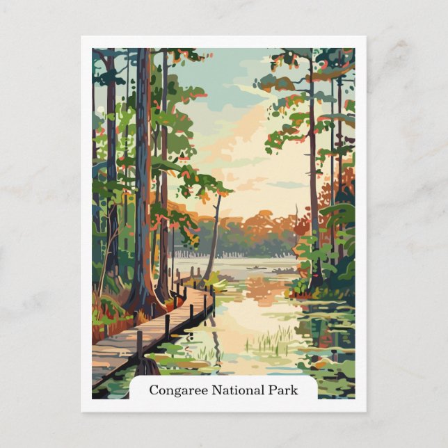 Cartão Postal Cartão-postal Congaree National Park USA (Frente)