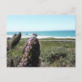 Cartão Postal Cartão-postal costeiro