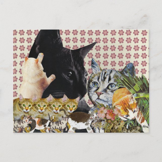 Cartão Postal Cartão-postal Creative Cats (Frente)