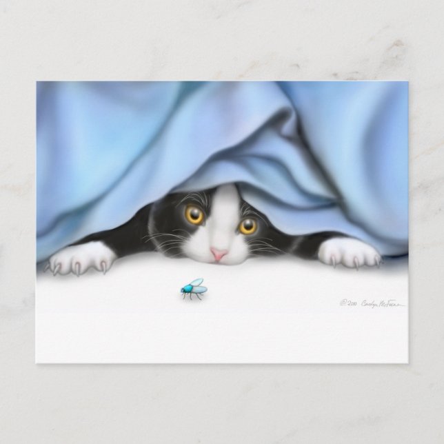 Cartão Postal Cartão-postal Curioso (Frente)