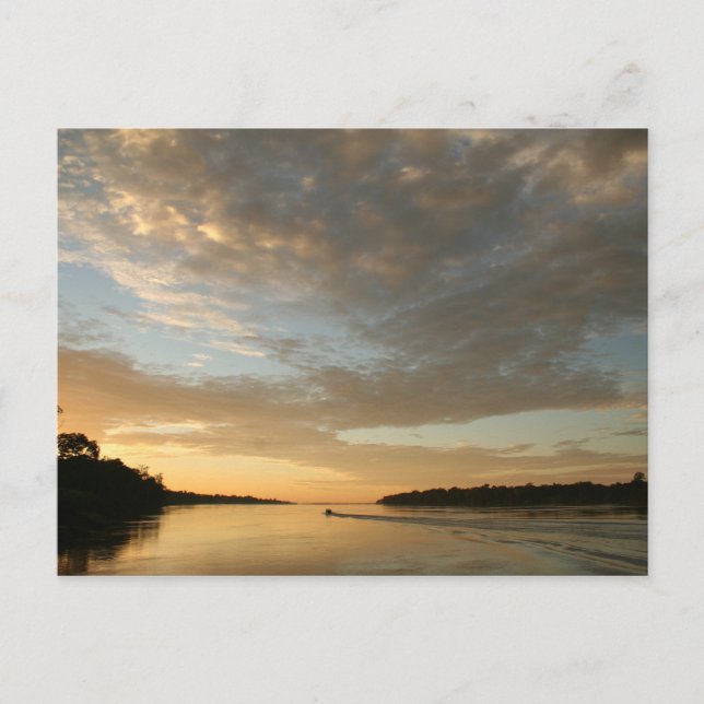 Cartão Postal Cartão-postal da Amazon Humane Society (Frente)