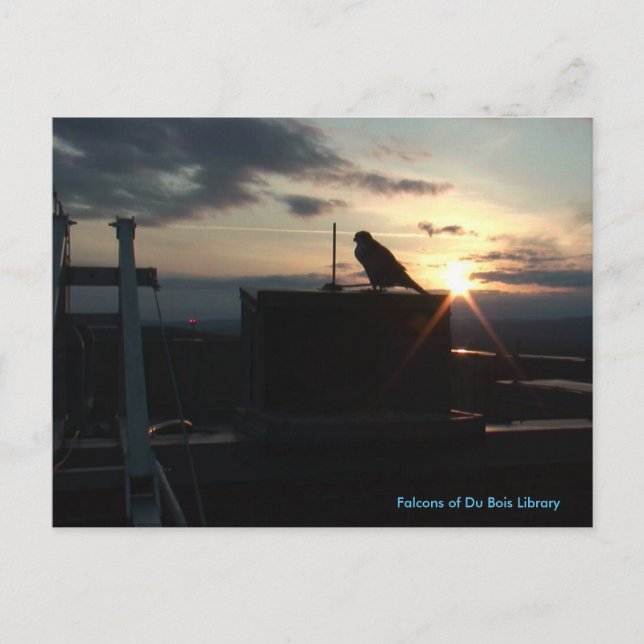 Cartão Postal Cartão-postal da Biblioteca Du Bois (Frente)