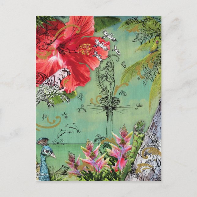 Cartão Postal Cartão-postal da Biscayne-Key (Frente)