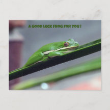 Cartão-postal da Boa Sorte do Green Treefrog