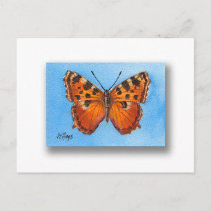Cartão Postal Cartão-postal da Borboleta Tortoise Shell