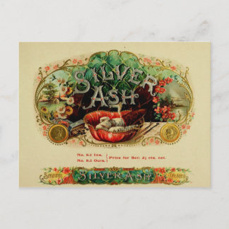Cartão Postal Cartão-postal da caixa de charuto Vintage 65