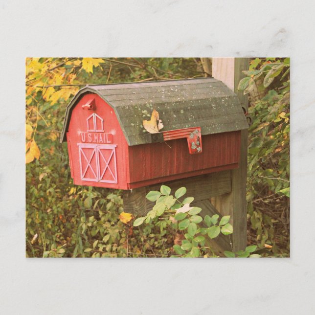 Cartão Postal Cartão-postal da caixa de correio (Frente)