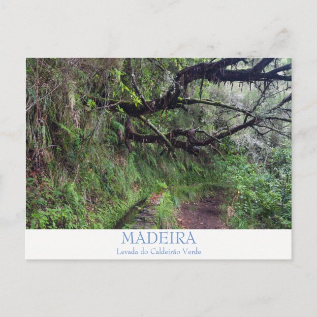Cartão Postal Cartão-postal da Caldeirao Verde na Madeira com te (Frente)