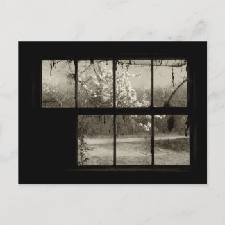 Cartão Postal Cartão-postal da Cherry Blossom através de uma vel