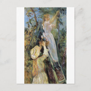 Cartão Postal Cartão-postal da Cherry Picker de Berthe Morisot