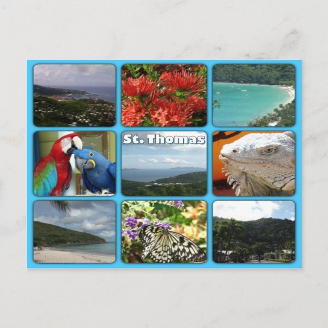 Cartão Postal Cartão-postal da Colagem de Fotos Thomas (Frente)