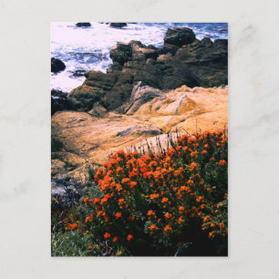 Cartão Postal Cartão-postal da Costa da Califórnia