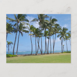 Cartão Postal Cartão-postal da Costa do Havaí