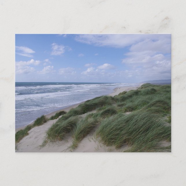 Cartão Postal Cartão-postal da Costa do Oregon (Frente)