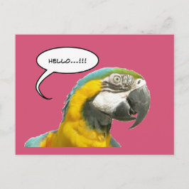 Cartão Postal Cartão-postal da Engraçado