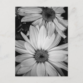 Cartão Postal Cartão-postal da Flor