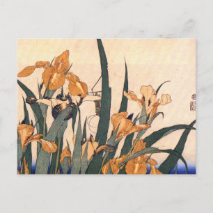 Cartão Postal Cartão-postal da Flor Iris Iris para Arte Vintage
