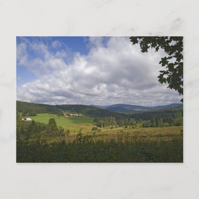 Cartão Postal Cartão-postal da Floresta Bávara (Frente)