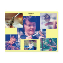 Cartão-postal da História Goldfinch de 1973