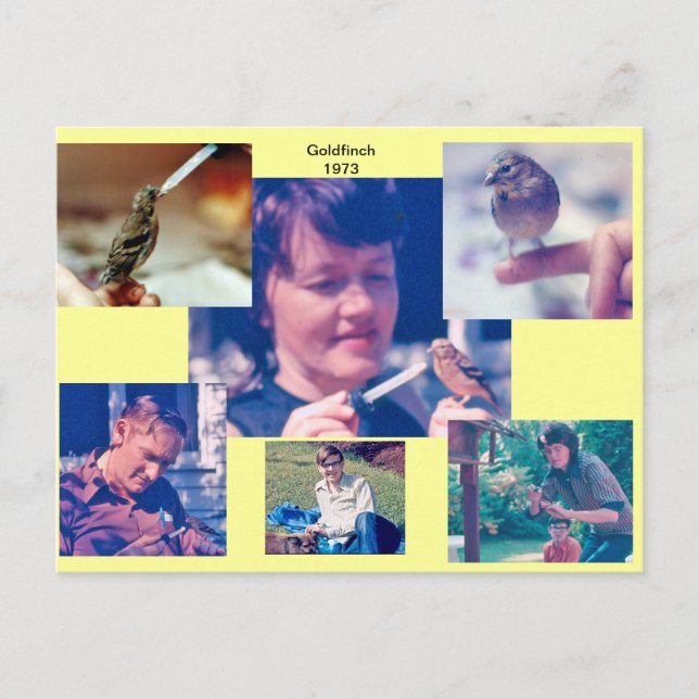 Cartão Postal Cartão-postal da História Goldfinch de 1973 (Frente)