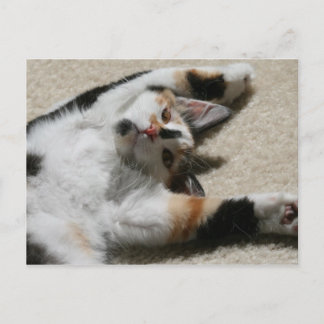 Cartão Postal Cartão-postal da Hope