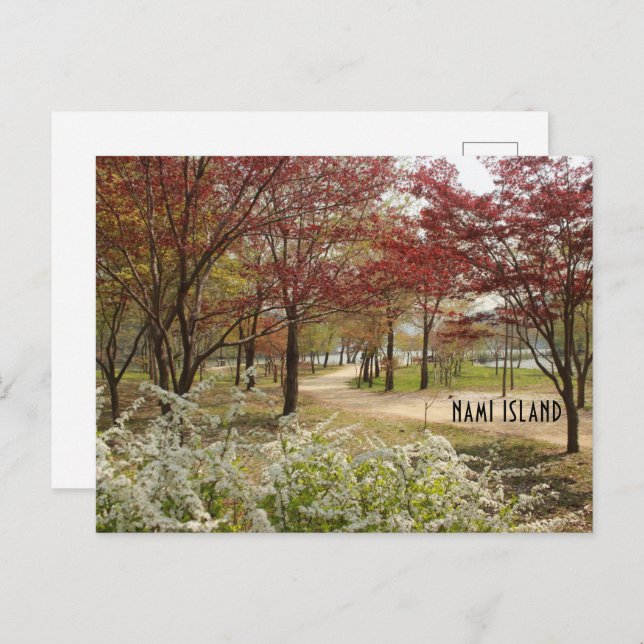 Cartão Postal Cartão-postal da Ilha Nami, primavera (Frente/Verso)