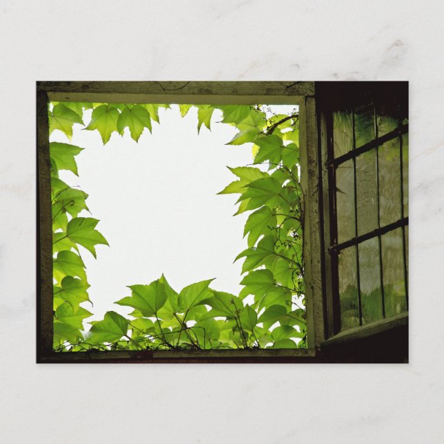 Cartão Postal Cartão-postal da janela (Frente)