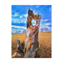 Cartão-postal da janela