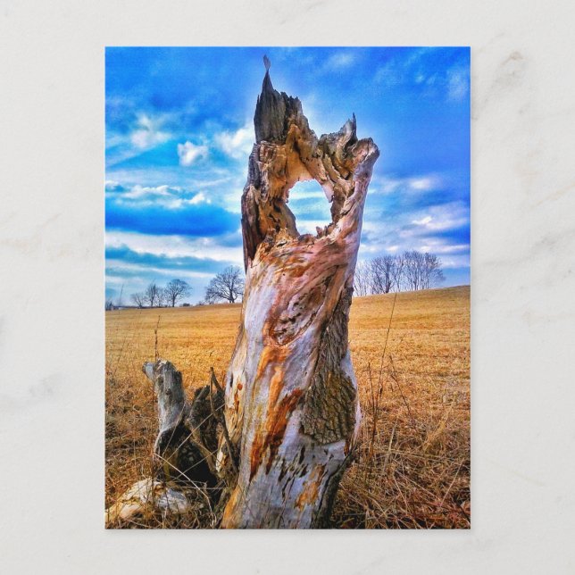 Cartão Postal Cartão-postal da janela (Frente)