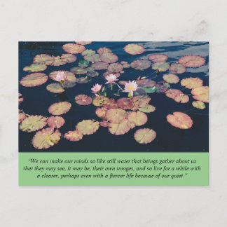 Cartão Postal Cartão-postal da Lily Water Stilness