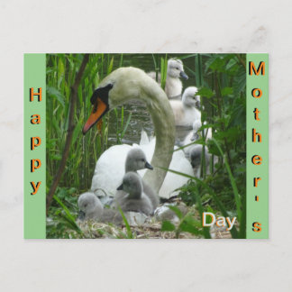 Cartão Postal Cartão-postal da Mãe Swan com Dia de as mães de Be