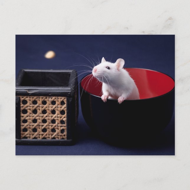 Cartão Postal Cartão-postal da Mesa Luna (Frente)