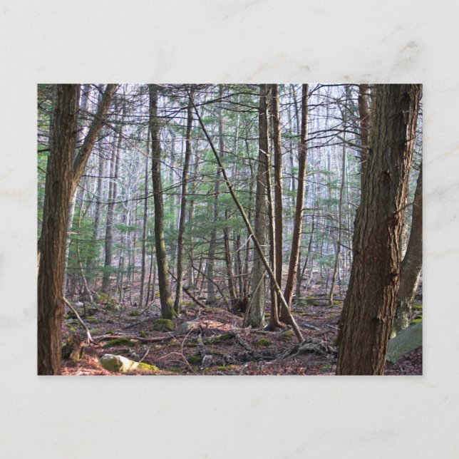 Cartão Postal Cartão-postal da Montanha de outubro (Frente)