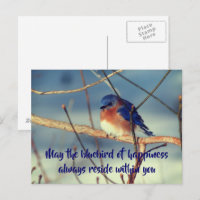 Cartão-postal da Natureza da Felicidade Bluebird