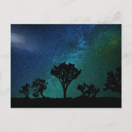 Cartão Postal Cartão-postal da Noite da Árvore de Joshua
