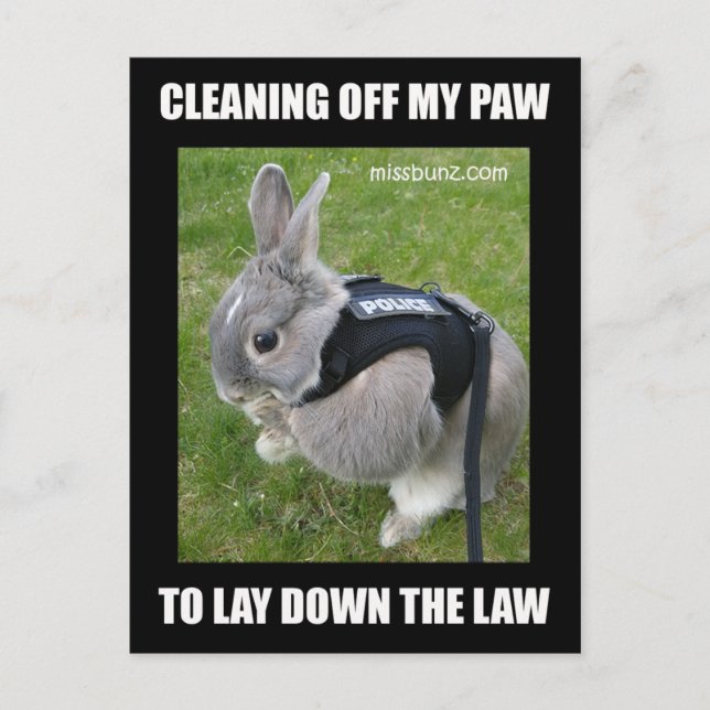Cartão Postal Cartão-postal da Paw de Limpeza Miss Bunz (Frente)