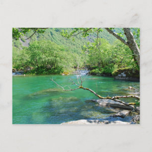 Cartão Postal Cartão-postal da Paz Emerald