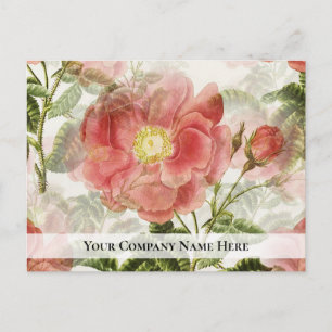 Cartão Postal Cartão-postal da Pesquisa de Negócios de Rosas d
