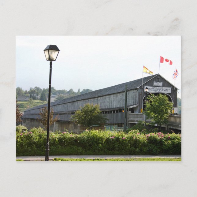 Cartão Postal Cartão-postal da ponte Hartland mais comprida (Frente)