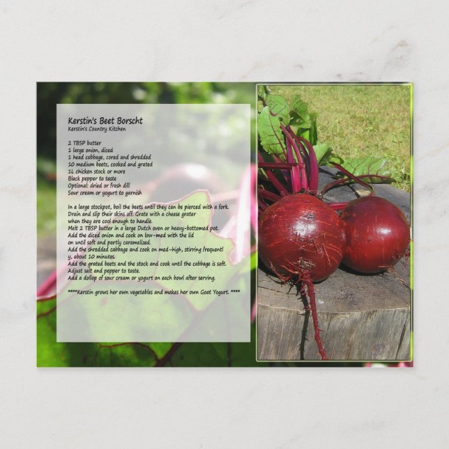 Cartão Postal Cartão-postal da Receita Borscht Beet de Kerstin (Frente)