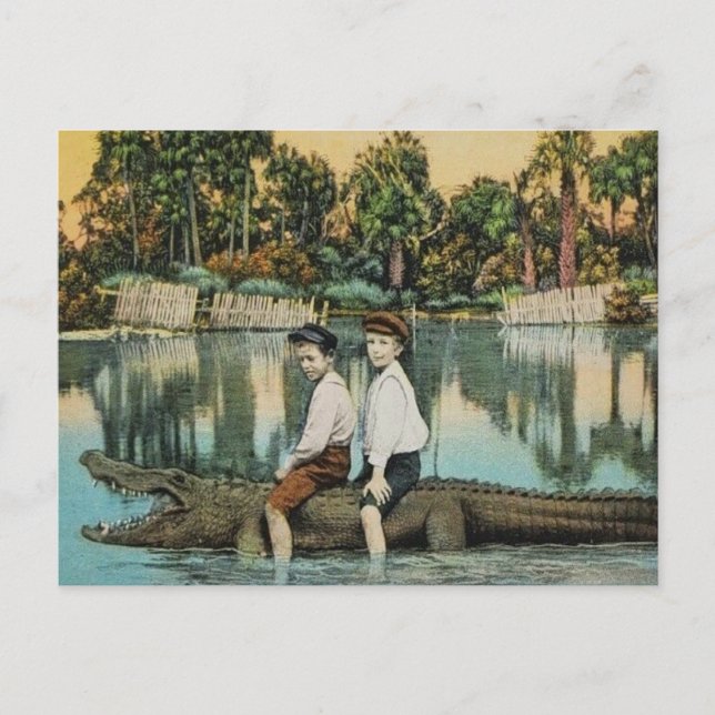 Cartão Postal Cartão-postal da Ride'um Gator Funny (Frente)