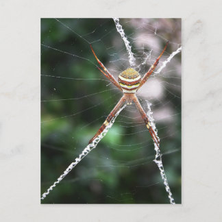 Cartão Postal Cartão-postal da rua Andrews Cross Spider
