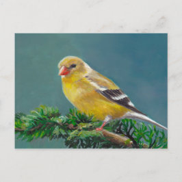 Cartão Postal Cartão-postal da Sra. Goldfinch Bird Art