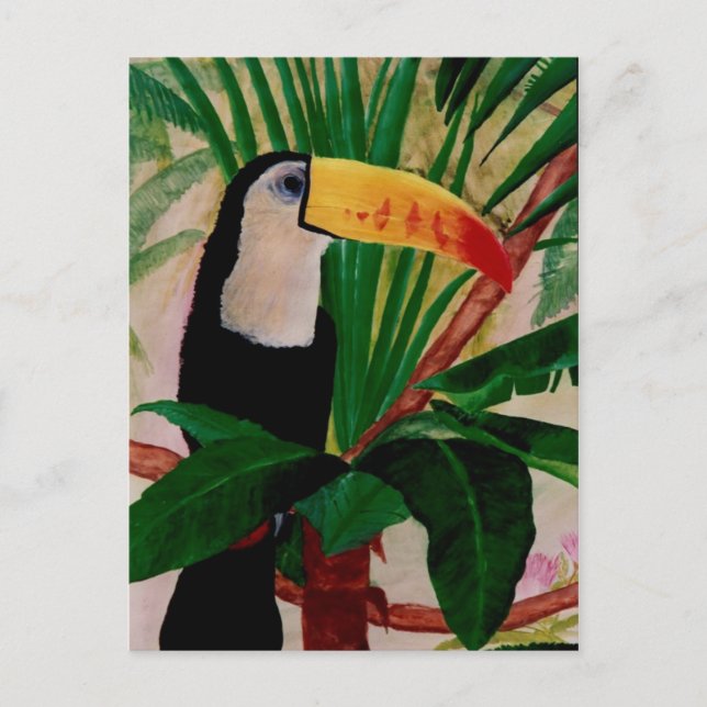 Cartão Postal Cartão-postal da Toucan Bird Willife Art South Ame (Frente)