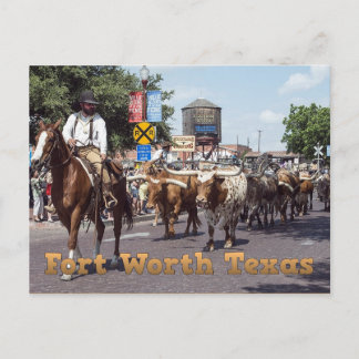 Cartão Postal Cartão-postal da Unidade de Bovinos do Texas com F