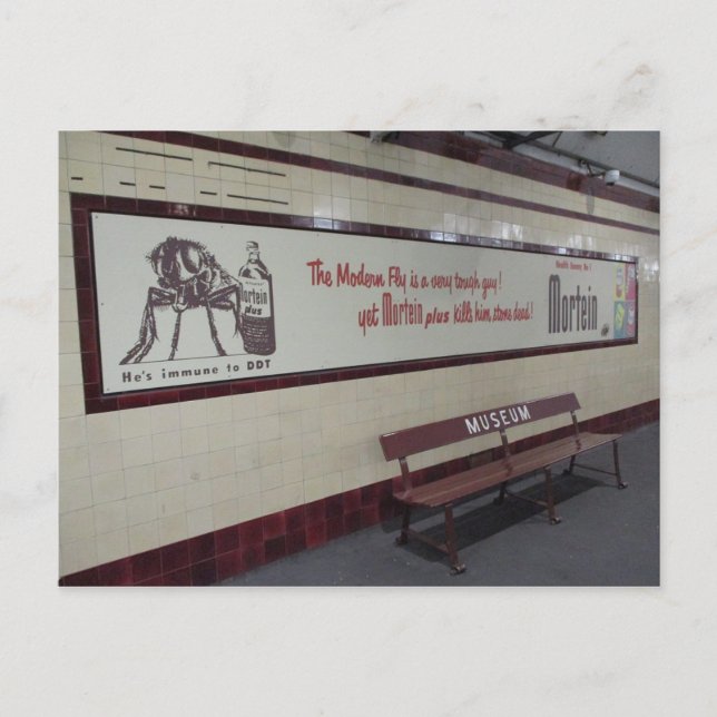 Cartão Postal Cartão-postal da velha Mortein (Frente)