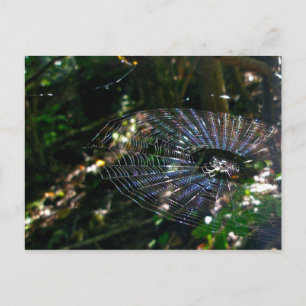 Cartão Postal Cartão-postal da Web Orb de Gabarito