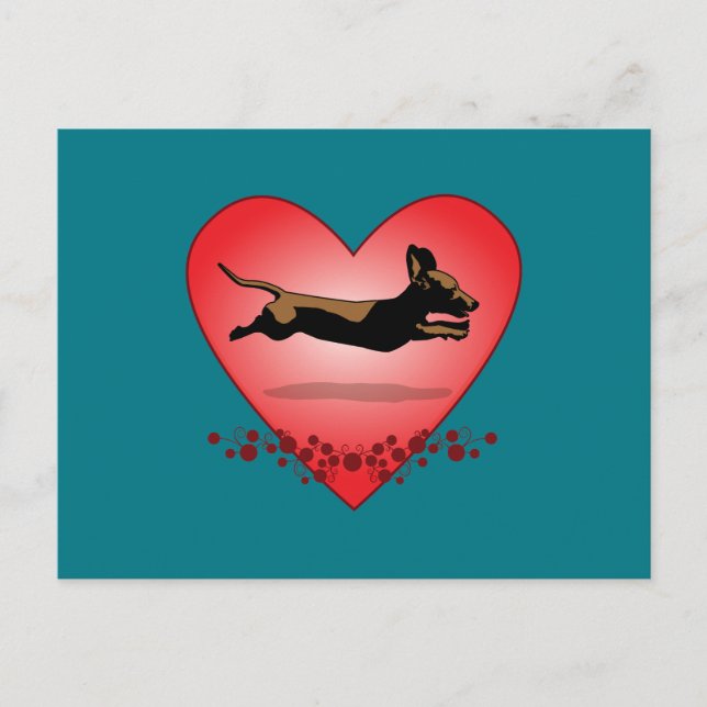 Cartão Postal Cartão-postal Dachshund (Frente)